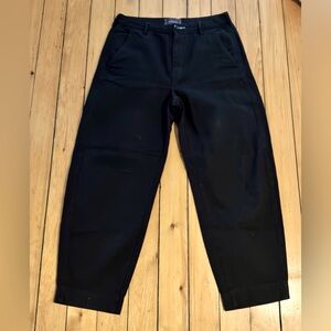 Everlane Arc Canvas Pant
